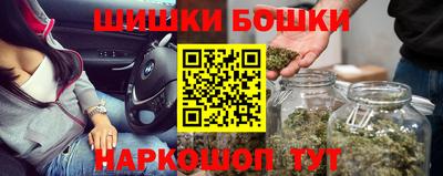 крисы Лесосибирск