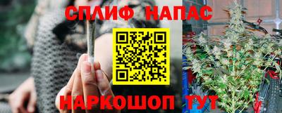крисы Лесосибирск