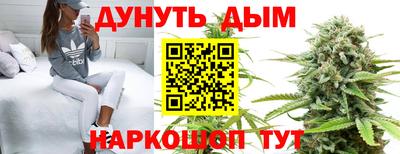 крисы Лесосибирск