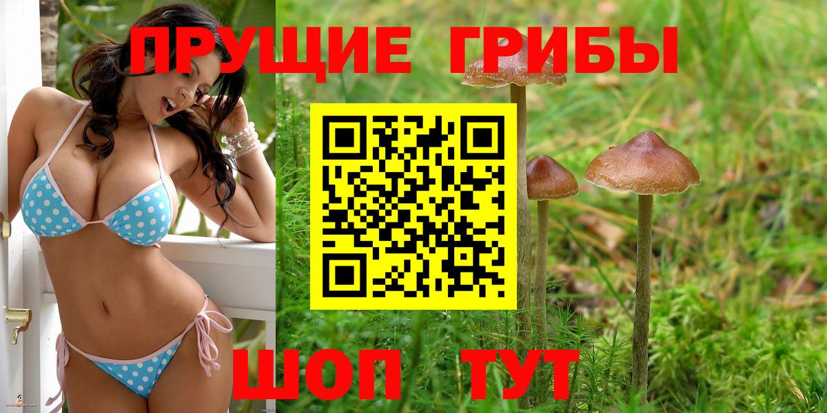 Галлюциногенные грибы Psilocybine cubensis  Вход с VPN  Екатеринбург 